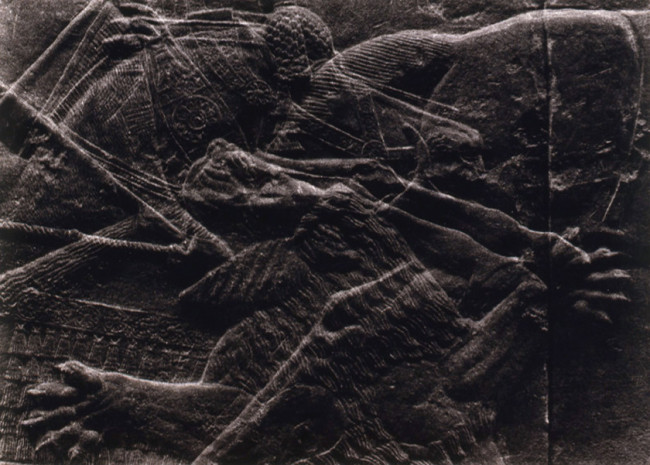La cacera assíria # 11